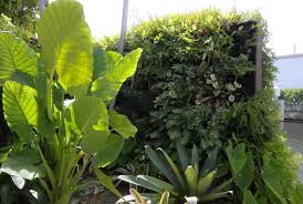 大冶绿化工程招标网公告最新